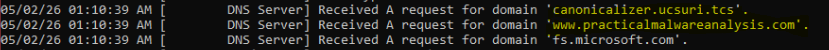 Figure 1: FakeNet-NG captured DNS resolution requests